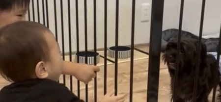 愛犬も一緒に泊まれる！