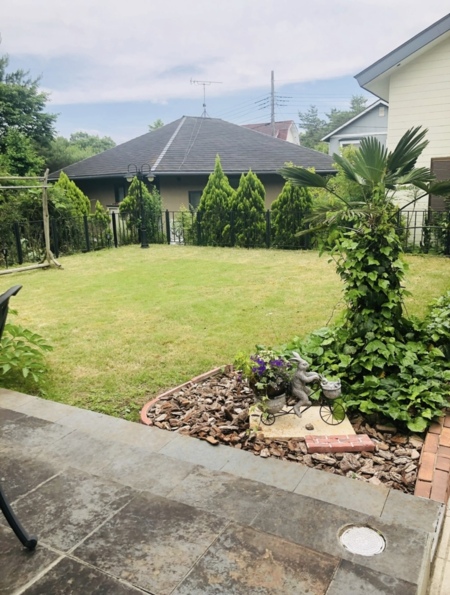 施設内ドックランエリア