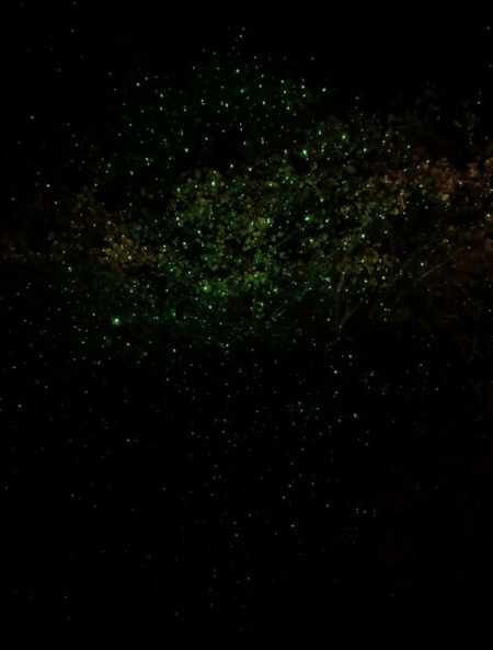 露天風呂から見えるキラキラの光