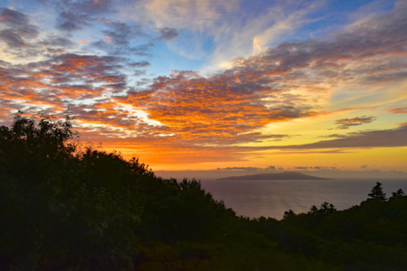 お部屋からは海や伊豆諸島を望みます