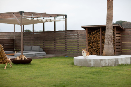 敷地全体がドッグランとなっています