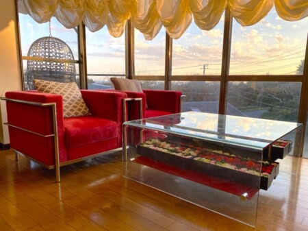 リビングからの眺め