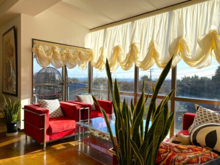 リビングからの眺め