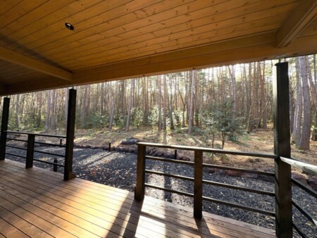 目の前には針葉樹の森が広がります