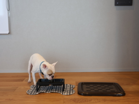 ワンちゃん用のトイレ、ボウル完備