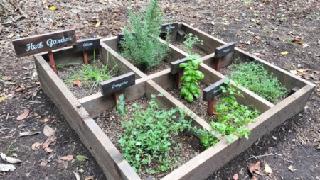 ハーブガーデン