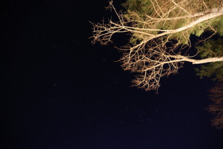 LAGA - 1980 fuji yamanakako 写真19