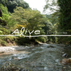 Alive サステナブルラボ飯能
