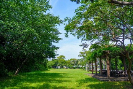 Links Seaside Resort 写真16