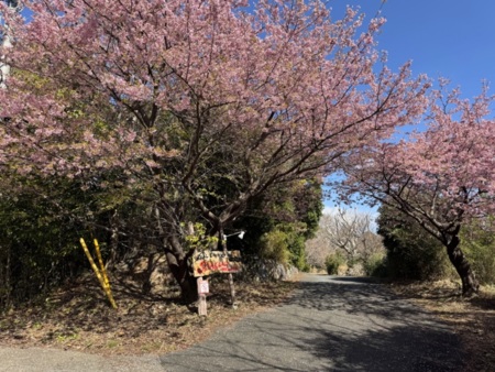 10000㎡を超える敷地の入口はここから