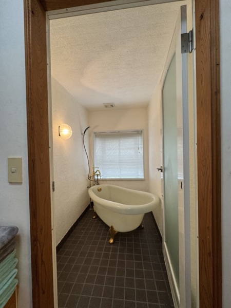 201.203.204の猫足バス