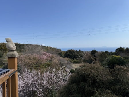 オーシャンビューの貸切大型ログハウス