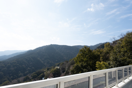 バルコニーからの景色（山側）