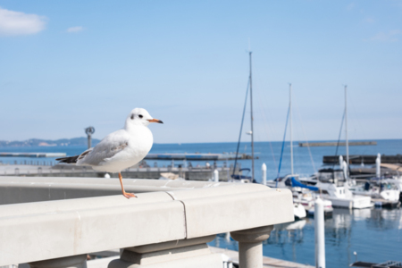The Villas ～atami Blue Ocean～ 写真19