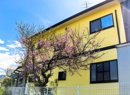 温泉郡宿の裏庭