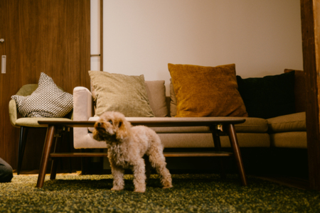 Myoko Home 貸別荘