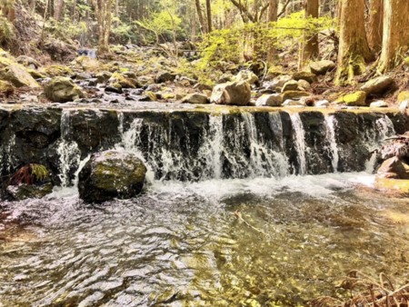 きつね荘道志 写真19