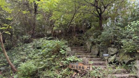 脇門玄関まで続く裏庭の小径