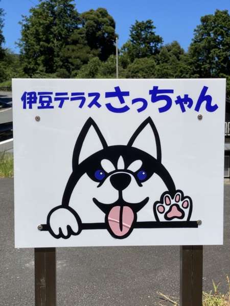 海と風が紡ぐ悠久のひととき 伊豆テラスさっちゃん（旧黒べい） 写真20