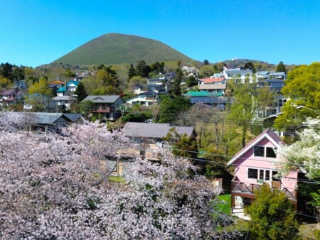 伊豆高原さくら山荘 写真9
